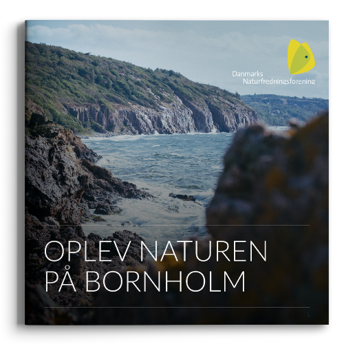 Guide Oplev Naturen På Bornholm 